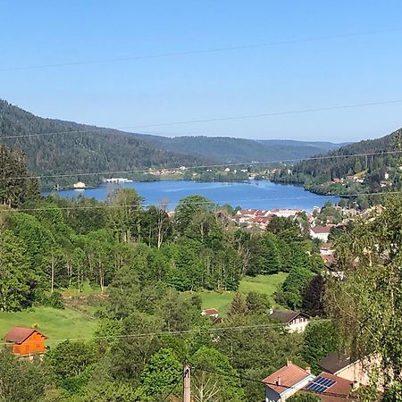 F3 Superbe Vue Lac, Grand Balcon, Ambiance Nature Жерарме Екстер'єр фото